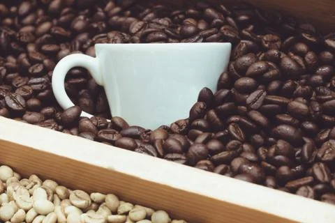 Coffee in the production of coffee. Stock Photos
