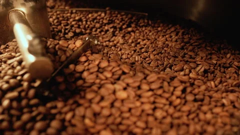 Coffee production. Freshly roasted coffee beans mixing on a cooling plate of a Stock Footage 259626316