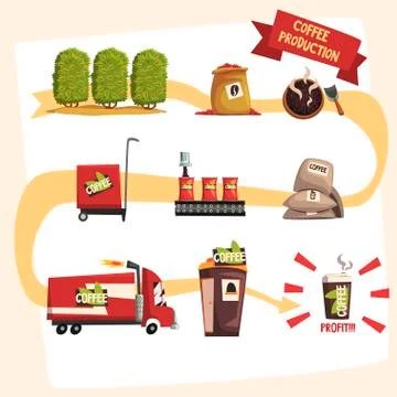 Coffee production in process infographic Stock Illustration