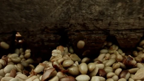 Coffee Production in Thailand Video stock 74420715