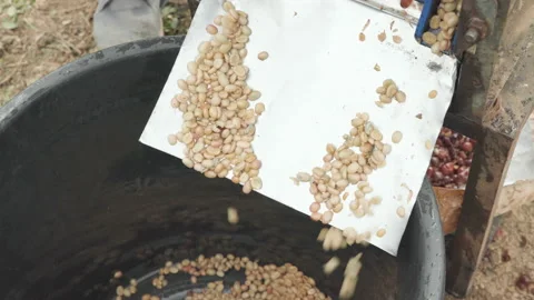 Coffee pulping machine Stock Footage 157407937