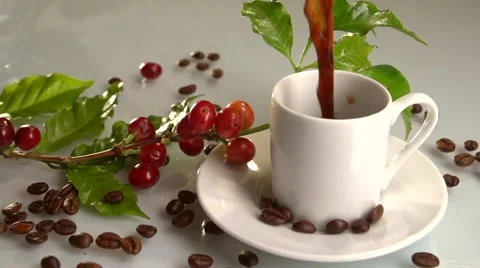 Coffee. Red coffee beans on a branch. Coffee is poured into the cup. Stockbeeldmateriaal 61197539