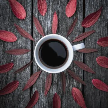 Coffee red leaves pattern on white background. Flat lay Stock Photos