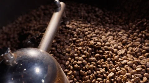 Coffee roast in a special machine. Coffee beans close-up, cooling in a metal vat Video stock 129310084