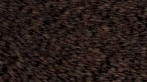 Coffee roasted bean Stock Footage 84647731