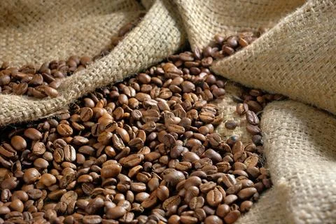 Coffee roasted beans on burlap close-up. Coffee background Stock Photos