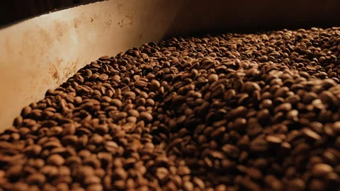 Coffee roaster. Close-up roasted high quality beans mixing around on a cooling Stock Footage 277657744
