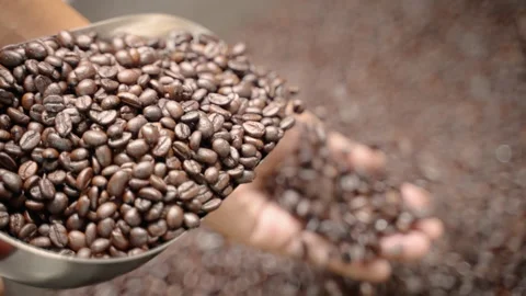 Coffee roaster, coffee beans that are roasted from the oven to ripen Stock Footage 172044041