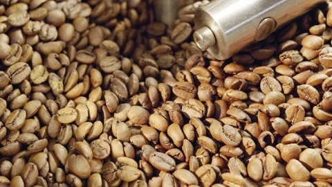 Coffee Roaster Cooling Batch of Beans Stock Footage 137731188