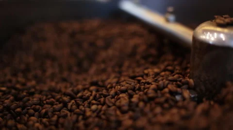 Coffee Roaster Cooling Down Freshly Roasted Coffee Beans Stock Footage 61053260