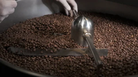 Coffee Roaster Cooling Down Freshly Roasted Coffee Beans Vidéo 209313775
