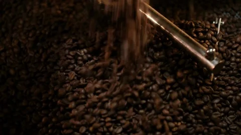 Coffee roaster cooling off fresh roasted coffee beans Batch of Beans in cylinder 스톡 동영상 334643761