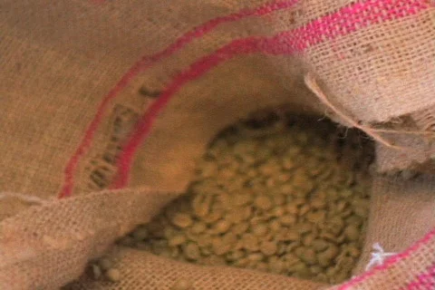 Coffee Roaster Stock Footage 151485