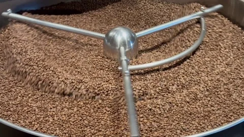 Coffee roaster machine at coffee roasting process. Mixing coffee beans. Stock-Footage 279722143