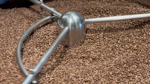Coffee roaster machine at coffee roasting process. Mixing coffee beans. Stock-Footage 279991411