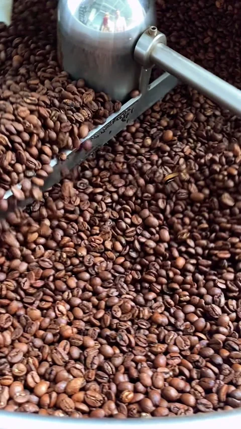 Coffee roaster machine at coffee roasting process. mixing coffee beans Stock Footage 289144254