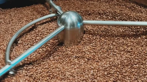 Coffee roaster machine at coffee roasting process. Mixing coffee beans.  Vidéo 308008420