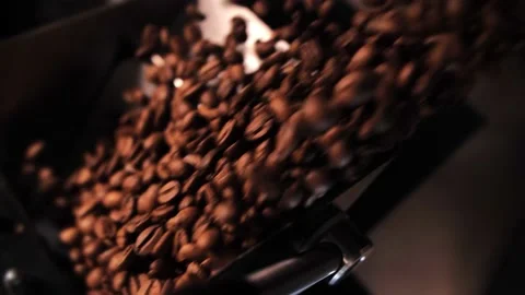 Coffee roaster machine mixing aroma beans.Preparation fresh aroma caffeine on Stock Footage 214341220