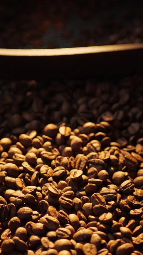 Coffee roaster machine mixing aroma beans. Preparation fresh aroma caffeine on Stock Footage 308399128