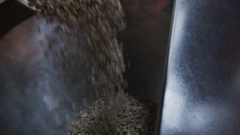 Coffee roaster, the process of roasting coffee in the oven. Stock Footage 149028635