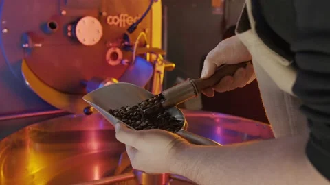 Coffee roaster, the process of roasting coffee in the oven. Stock Footage 149028690