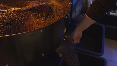 Coffee roaster, the process of roasting coffee in the oven. Stock Footage 149028740