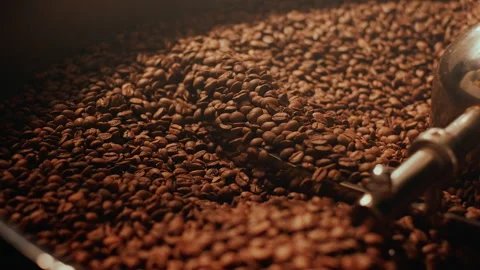 Coffee roaster. Roasted high quality beans mixing around on a cooling plate of Stock Footage 277657033