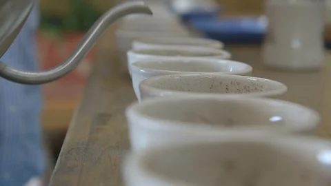 Coffee roaster testing coffee roast Stock Footage 104872947