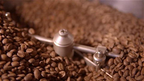Coffee roaster .VAT for roasting coffee beans. roaster. Coffee beans in the Stock Footage 99743150