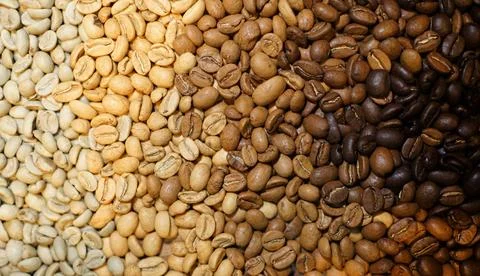 Coffee roasting from light to dark. Texture background of roasted beans pattern Stock Photos