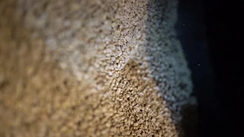 Coffee roasting machine - Cinematic 4k 100 fps Stock Footage 181767165