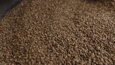 Coffee Roasting Machine, Close Slow Motion Shot Stock Footage 147633287