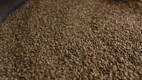 Coffee Roasting Machine, Close Slow Motion Shot Stock Footage 147633444