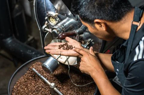 Coffee roasting machine in the process of roasting coffee. Barista observing the Stock Photos