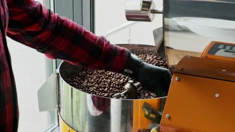 The coffee roasting operator selects the defective beans from the coffee bean Stock Footage 132333857