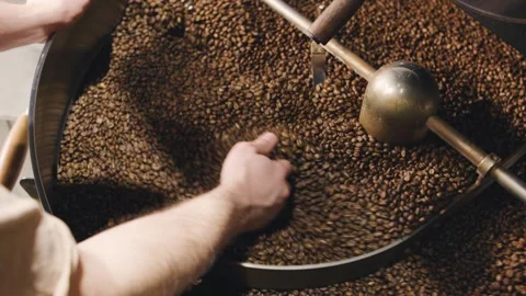 Coffee roasting process occurs as a skilled barista observes and manages freshly Stock Footage 321712975