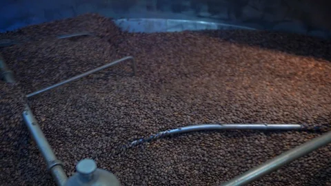 Coffee Roasting Process - Roasted coffee beans in roasting machine. Close-ap. Stock Footage 106469178