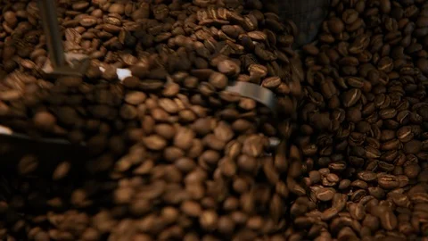 Coffee roasting process in small roaster factory 動画素材 118138862