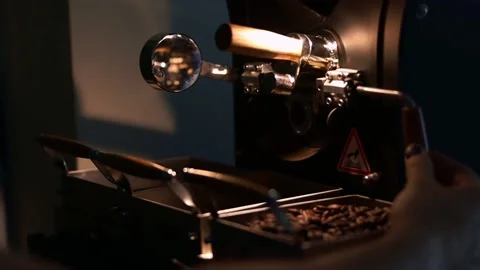 Coffee sample roasting in roaster factory Stock Footage 169965742