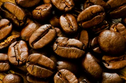 Coffee seed close up Stock Photos