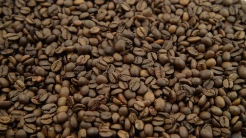 Coffee seeds falling down. Roasted coffee beans falling on hills of coffe. Stock Footage 149061556