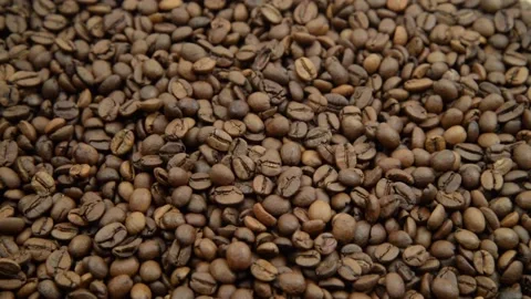 Coffee seeds falling down. Roasted coffee beans falling on hills of coffe. Stock Footage 149061576