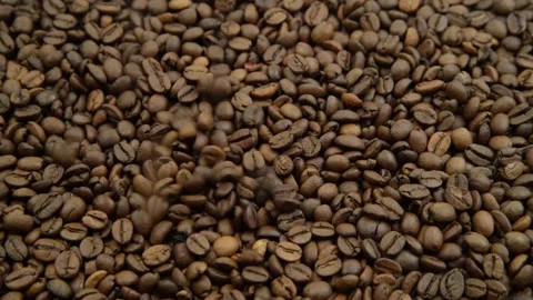 Coffee seeds falling down. Roasted coffee beans falling on hills of coffe. Stock Footage 149061637