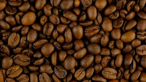Coffee seeds top 動画素材 137627049