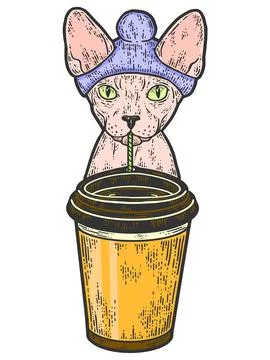Coffee shop, Sphynx cat is drinking coffee. Sketch scratch board imitation color Stock Illustration