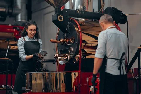 Coffee shop workers checking coffee beans roasting process together. Selectiv Stock Photos