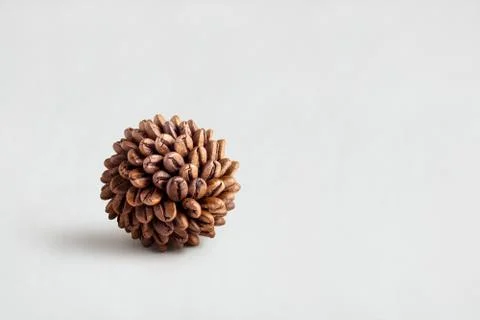 Coffee sphere. Stock Photos