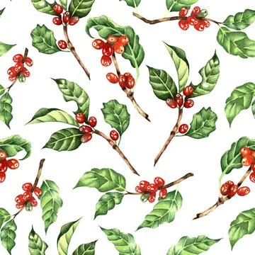 Coffee sprig pattern 스톡 일러스트