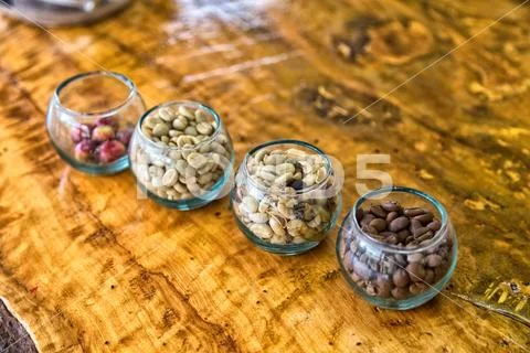 Coffee states Stock Photos