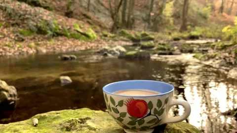 Coffee with steaming coffee tea in the woods by the river Stock Footage 165144912